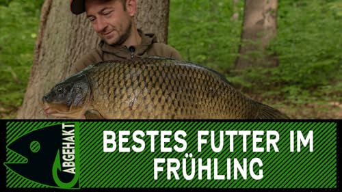 Bestes Futter im Frühling
