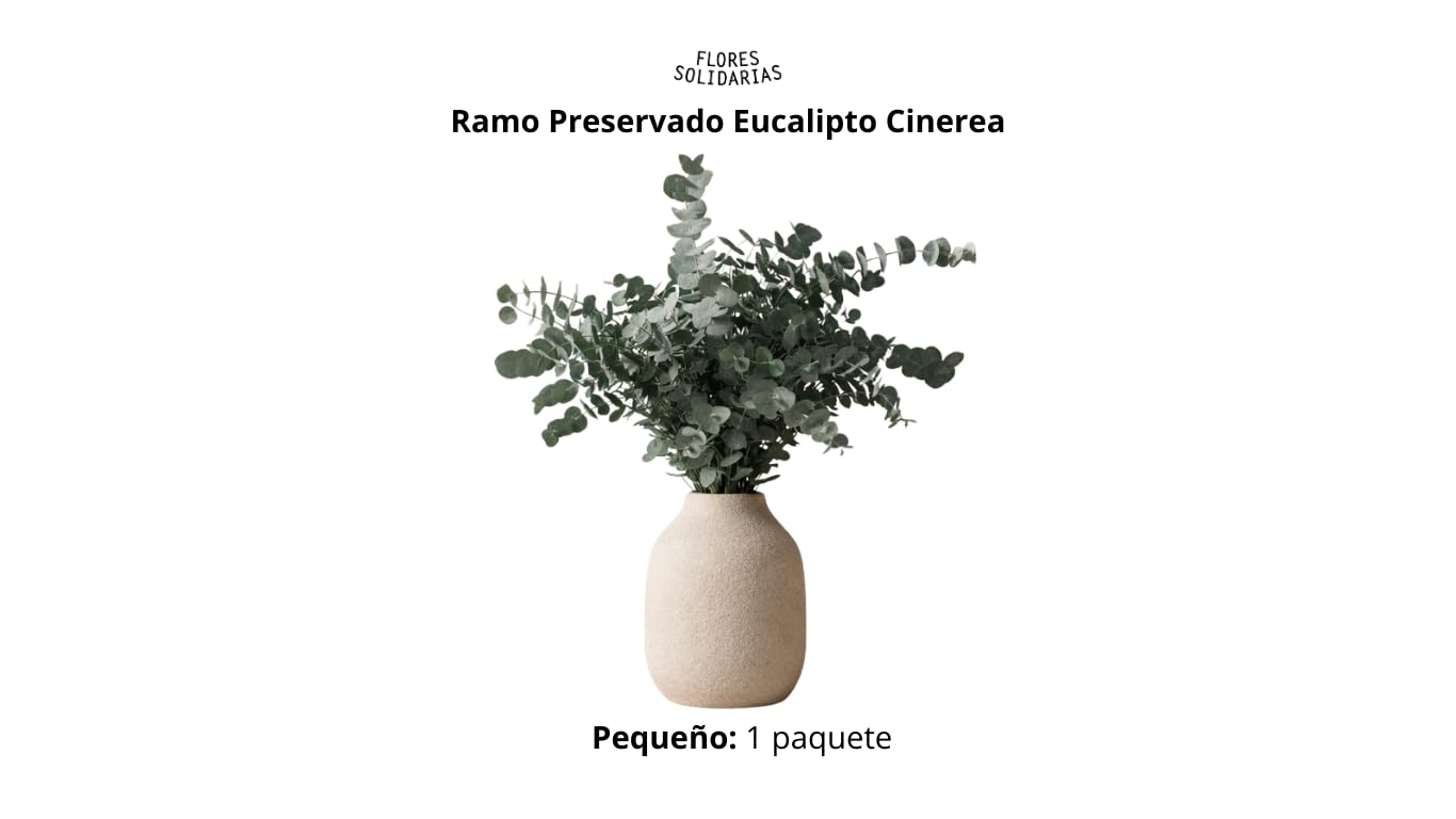 FLORES SOLIDARIAS - Flores Preservadas - Ramos de Flores Preservadas Naturales - Eucalipto Preservado - Regalo día de la Madre - Regalo Aniversario, Regalos San Valentín - Envio 24 h