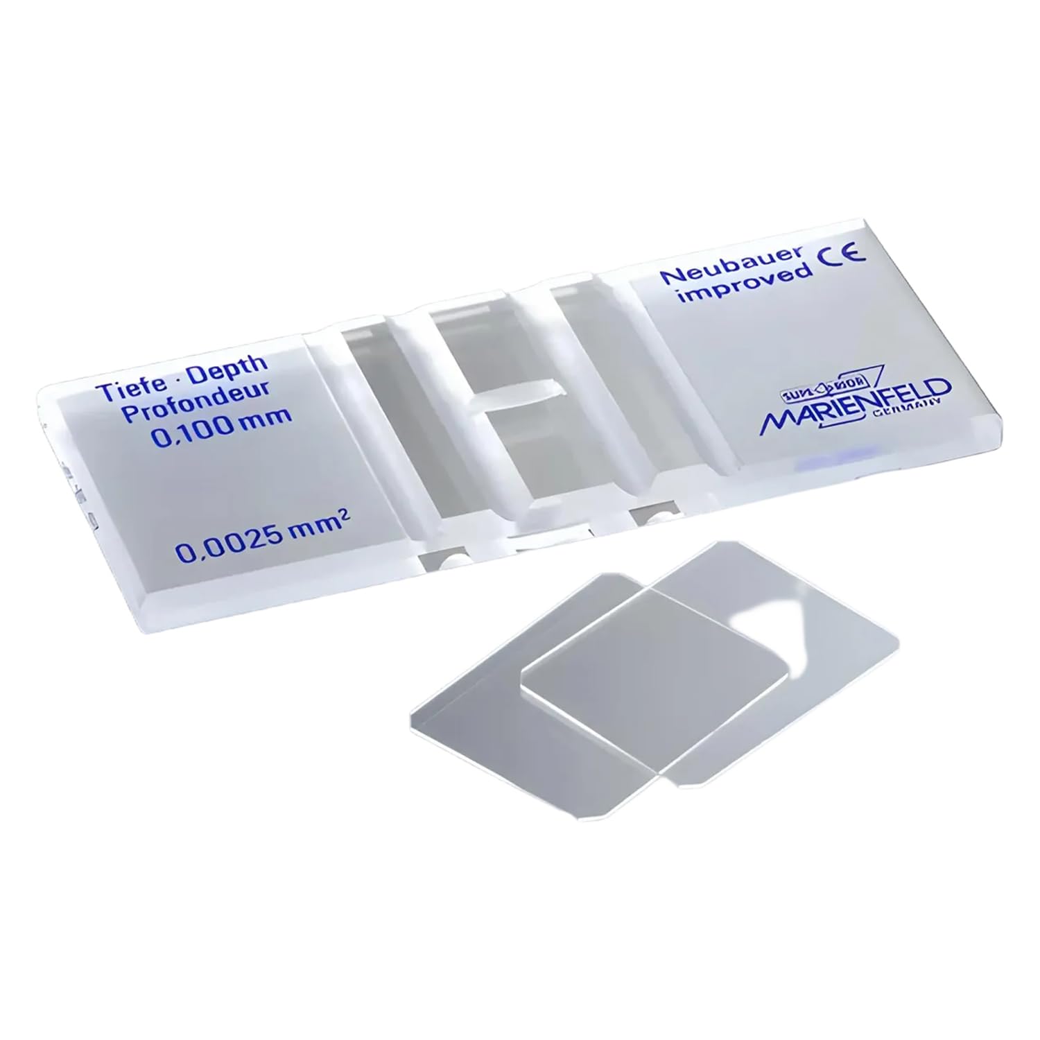 Marienfeld Camera di conteggio superiore in vetro speciale ottico con linea luminosa senza morsetto a molla, sistema Bürker, profondità camera 0,1 mm