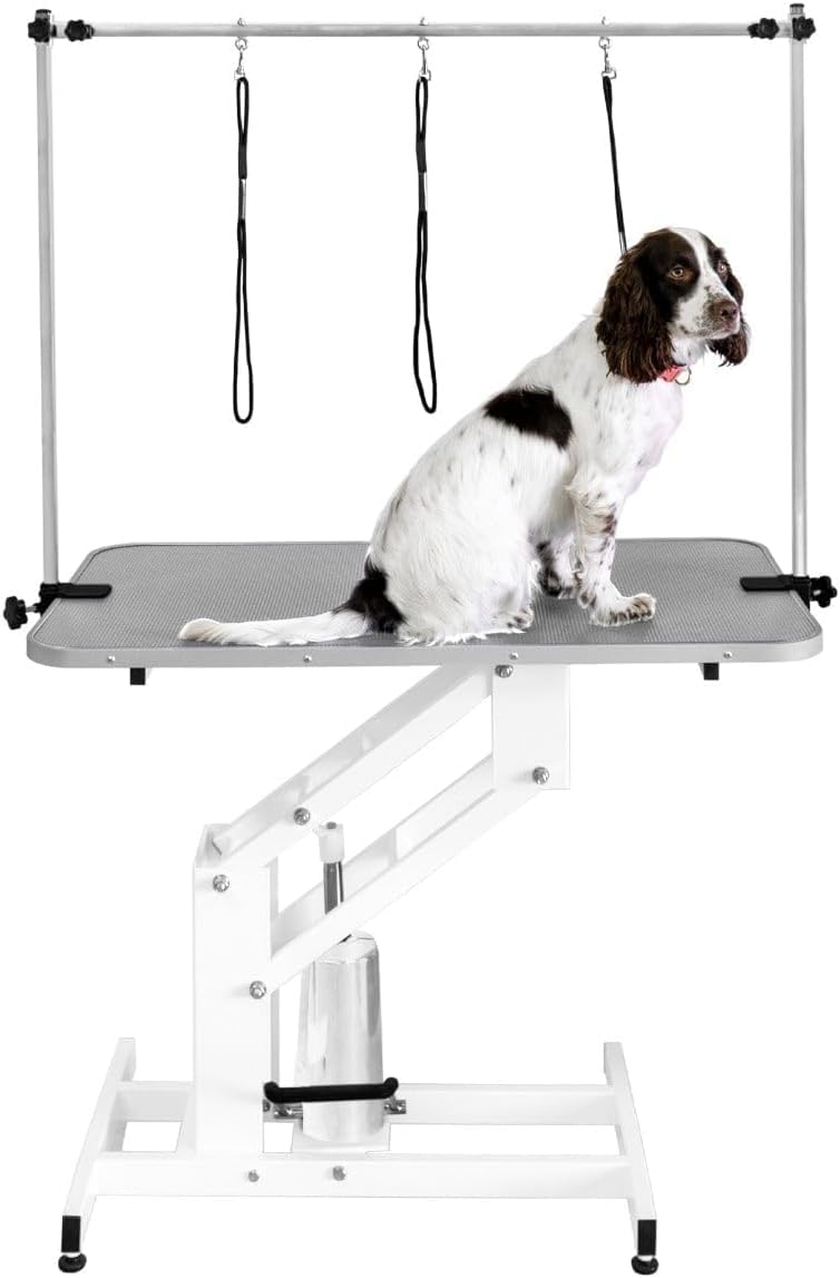 Tavolo Idraulico Toelettatura Cani - Altezza 55-101 cm, Capacità 180 kg, Bianco - Piano Grigio, Antiscivolo 106x61 cm, Acciaio Bianco, Piedini Livellanti, 3 Guinzagli