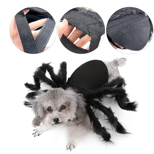Cat Horror Spinnenkostüm Spinne Dog Kleidung Decor Kostüm Hundekostüm Katze Katzen Hund Gruselig Costume Haustier Kostüm Für Party Weihnachten Schwarz (M Size)