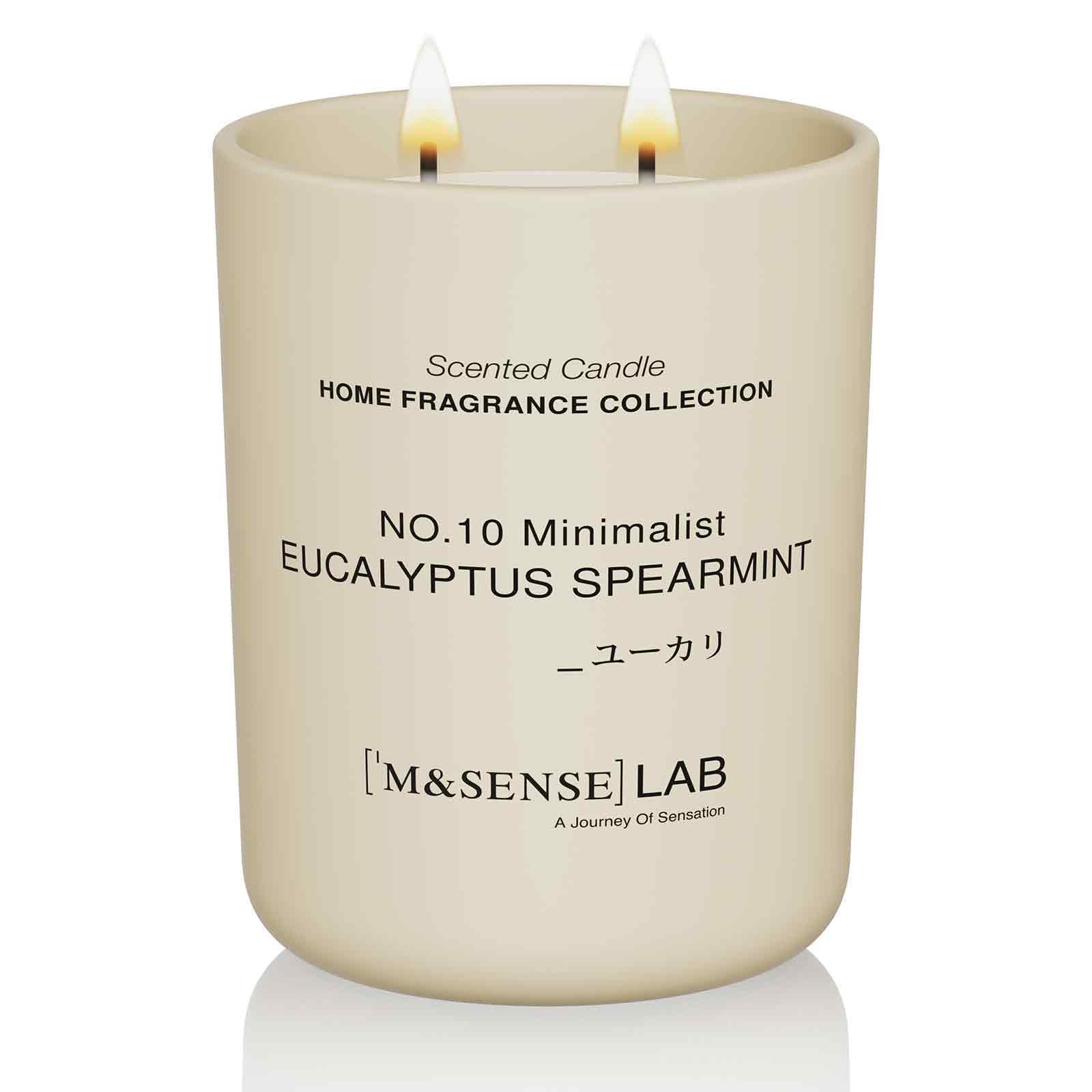 M&SENSE Grande Candele alla Soia 470g in Vetro, Eucalipto e Menta Verde, 110H Combustione, Naturale Candela Non Tossico, Doppio Stoppino in Cotone, Aromaterapia Relax, Regalo di Lusso Donne & Mamma
