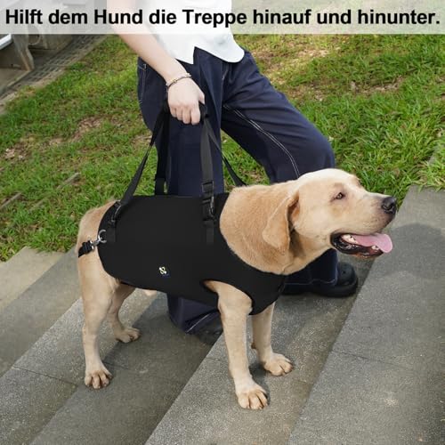 Coodeo Hundetragegurt: Unterstützungs & Rehabilitations-Schlinge, verstellbar gepolstert atmungsaktiv, für ältere, behinderte Hunde mit Gelenkproblemen oder Stabilitätsverlust (Schwarz, XL)