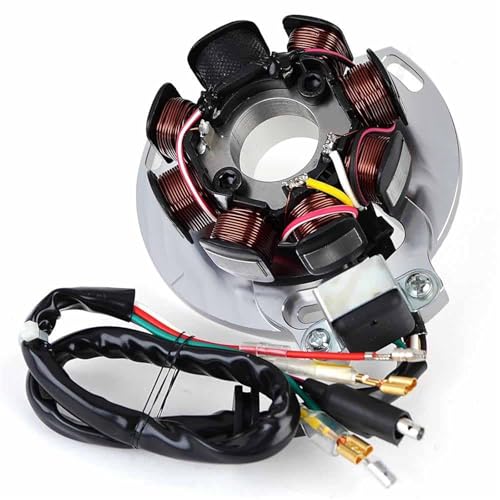 Stator allumage Gas Gas EC300 Wild HP 2003 alternateur moto