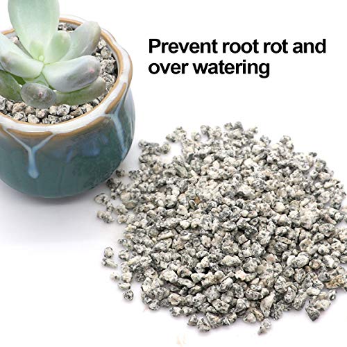 Consejos y comparativas para Comprar Tierras para cactus listamos los 10 mejores. 13 Imagen adicional