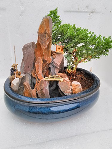 Jmbamboo-Bonsai- Juniper Tree Zen Garden With Pool Fishman #TOP1