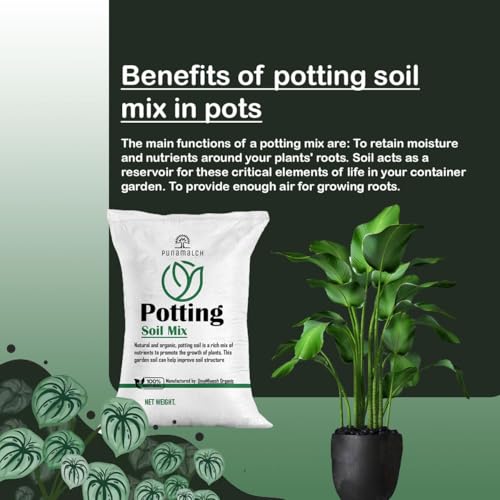 Image of Garden Soil for Plants 25kg | Potting Soil Mix for Plants | Made with Vermi,Coco Pit, Neem Cake,Rice Husk, Parlight, Soil (Buy 1 get 500g Super Grow)