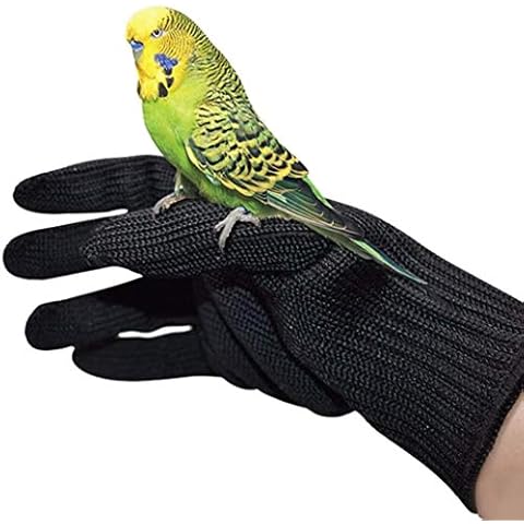 alfyng Bird Training Anti-Bite Gloves, Small Animal Handling Gloves, Chewing Protective Gloves for Small Animal Pet Squirrels Hamster Parrotlets Cockatiels Finch Macaw (1 Pair) Cover