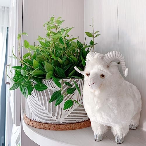 Pot de plantation de plantes succulentes TUSUOD style scandinave - 5