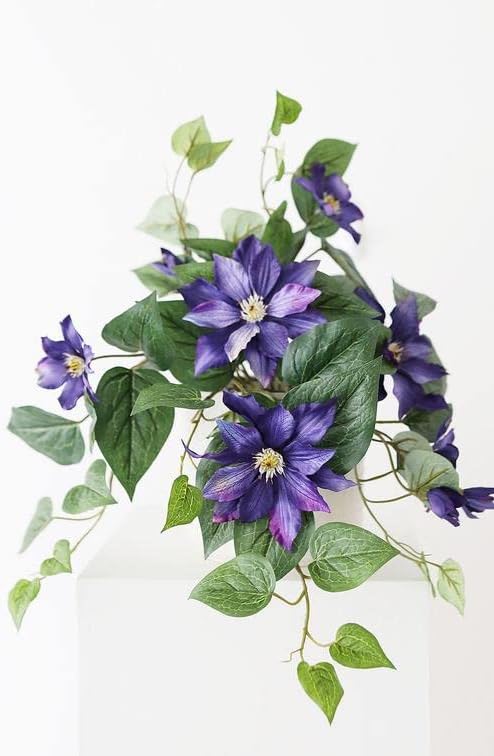 Arcadia Silk Plantation 20.5" UV Protected Clematis Bush Purple (Pack of 6)
