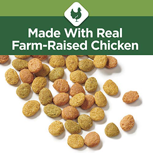 Purina Cat Chow Indoor Healthy Weight and Hairball Dry Cat Food With Chicken - (Pack of 4) 3.15 lb. Bags