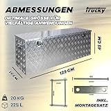 Truckbox Deichselbox Box Werkzeugkiste Anhängerbox Alubox Aluminium D210 inkl. Montagesatz Trucky - 2