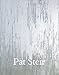 Pat Steir