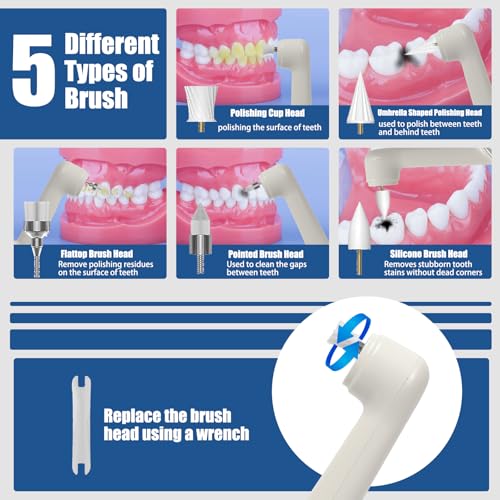 Zahnpolierer, Wiederaufladbare Zahnaufhellung Kit für Zahnreinigung und Aufhellung, Elektrischer Zahnpolierer mit 3-Zahnpolierpaste, 5-Bürstenköpfe, 5-Geschwindigkeitsmodi, LED-Licht – Bild 5