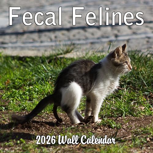 2026 Fecal Felines Monthly Wall Calendar | Prank Gift White Elephant or Gag Gift Pooping Cats Calendar
