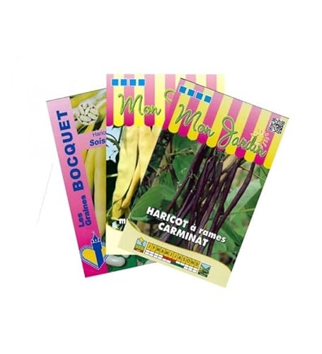 Sachet de graines de Lot de Haricots colorés à rames (3 sachets de graines à semer) - 270 g - LES GRAINES BOCQUET