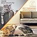 Tierhood Kratzschutz Katze - Kratzschutz Sofa Katze - Selbstklebende Anti Kratz Folie für Katzen - Kratzfolie selbstklebend - Katzen Kratzen abgewöhnen leicht gemacht - Made in Germany