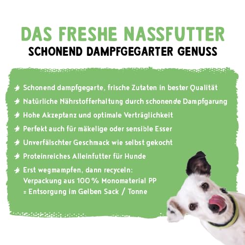 Bosch Freshe Schnauze, Pute mit Quinoa und Spinat 1 x 250 g, Schonend Dampfgegartes Nassfutter für Hunde, Vollwertiges Alleinfuttermittel mit hohem Fleischgehalt, 250 g Hundenassfutter