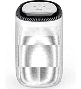 Amazon | 【1台2役＆PSE認証&1000ml】除湿機 兼 空気清浄機 空気清浄