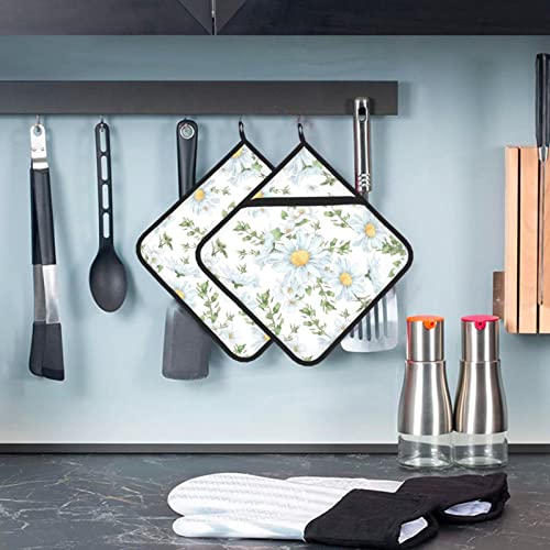2Pcs White Daisy Pot Holders Flower Printing Heat Resistant Hot Pads Green And White Background Cooking Barbecue Microwave Washable Bbq Grilling Potholders #TOP5