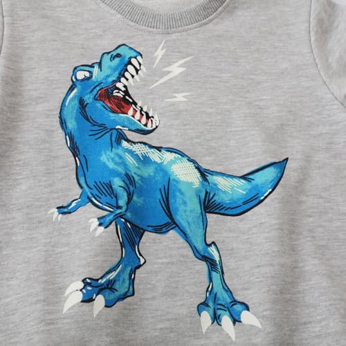 Irsutey Toddler Boys Cotton Sweatshirts Crewneck Dinosaur Pattern Long Sleeve Color Block Casual Trendy Pullover Tops 1-7Y2