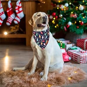 ADOGGYGO-Christmas-Dog-Bandana-Snowman-Xmas-Dog-Scarf-Premium-Durable-Fabric-Dog-Christmas-Bandanas-for-Large-and-Extra-Large-Dogs-Pets-X-Large-Christmas-1 - Cucciolini Doodles   ADOGGYGO-Christmas-Dog-Bandana-Snowman-Xmas-Dog-Scarf-Premium-Durable-Fabric-Dog-Christmas-Bandanas-for-Large-and-Extra-Large-Dogs-Pets-X-Large-Christmas-1