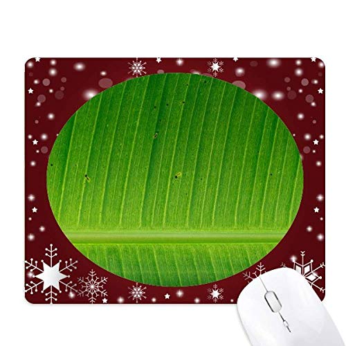 oii̗t̎R̎ʐ^摜 ItBXpS}EXpbh