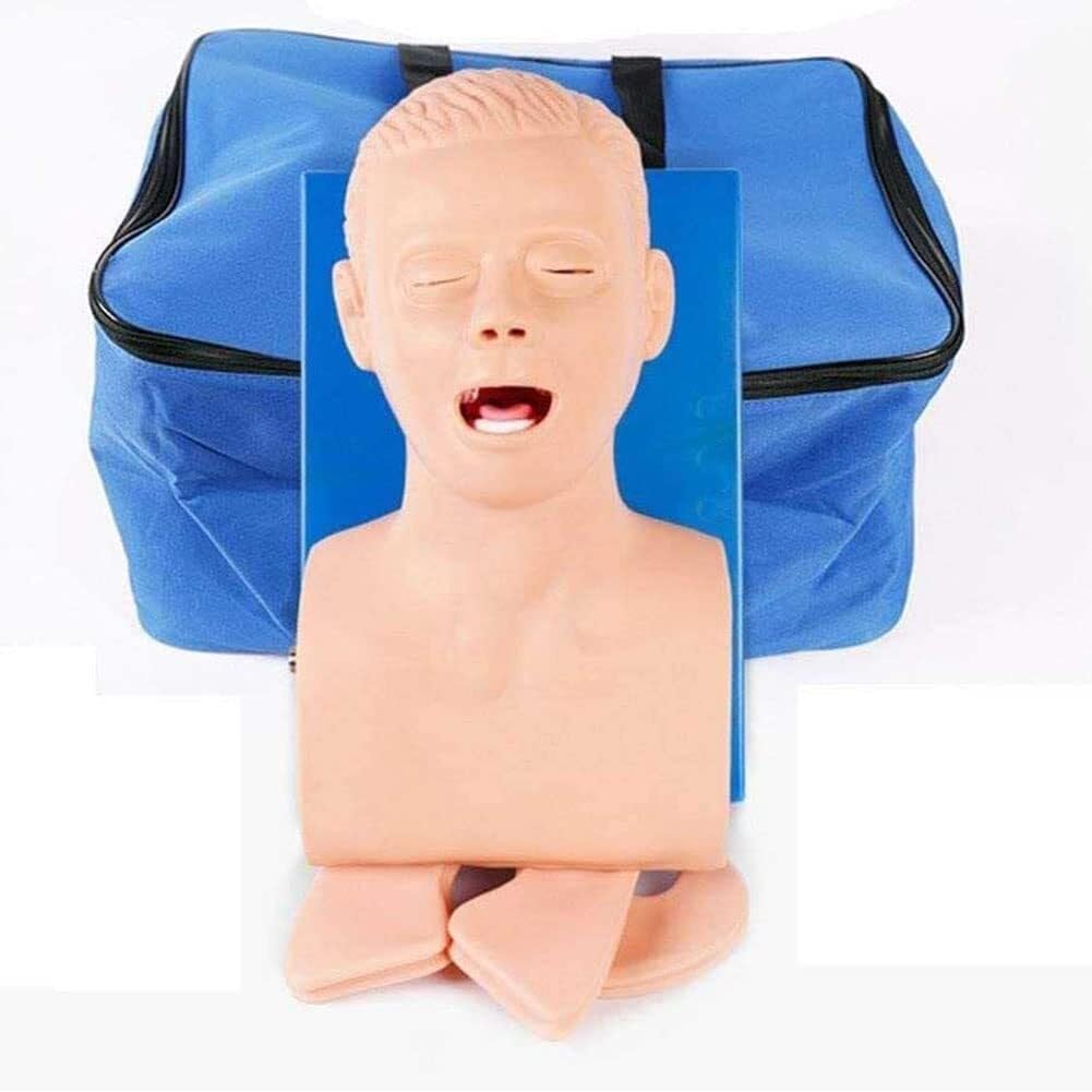 Modelo de intubación para adultos, simulador de intubación traqueal, PVC para adultos, modelo de instrucción de maniquí, entrenador de gestión de la vía aérea, intubación traqueal, simulador de