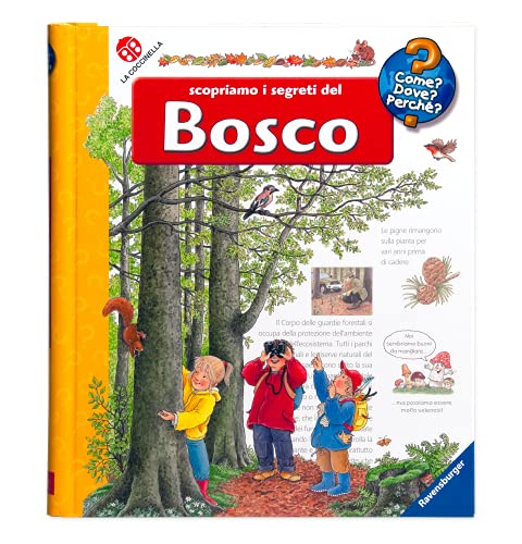 Scopriamo i segreti del bosco