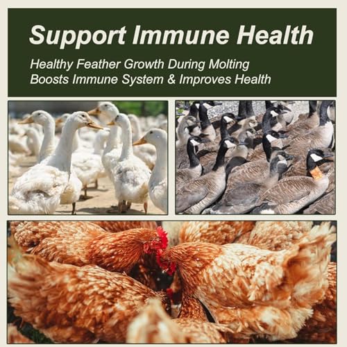 Adaman Dried Mealworms -10 LBS- 100% Natural Non GMO High Protein Mealworms - Bulk Meal Worms for Chickens & Birds, Ducks - Best Chicken Treats, Bird Food, Turtle Food - Thumbnail 5