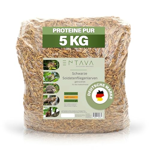 ENTAVA Soldatenfliegenlarven getrocknet 5kg - Getrocknete Insekten in Premium-Qualität, Soldatenfliegen für Vögel, Amselfutter, Koifutter, Igelfutter, Eichhörnchenfutter, Futter für Wildvögel