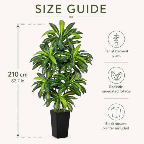 Image of 7FT Artificial Dracaena Tree - High-Density Foliage Fake Plant with Black Tall Planter - Faux Yucca Floor Plant for Home Office Decor Indoor