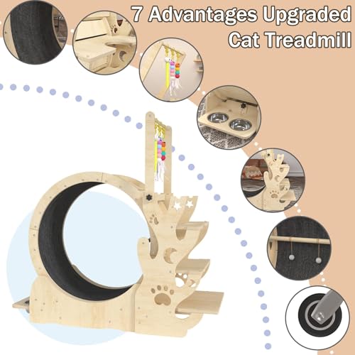 Upgraded Cat Wheel, Cat Running Wheel for Kitty's Longer LifeCat Exercise Wheel for Indoor Cats, Cat Treadmill with Cat House, Cat Stand CCC0111
