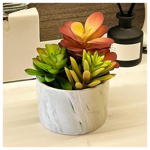 29 Cozy Front Porch Chair Ideas to Transform Your Outdoor Space 6 Karlliu Artificial Plants Cute Colourful Succulents in Ceramic Planter Fake Plant Flowers Potted for Home Living Room Office Desk Decor Bathroom Bedroom Indoor Decoration