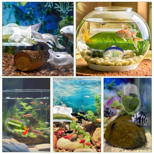 Image of Betta Fish Acrylic Tube Tunnel 1 Pack Betta Fish Shelter Hideaway Fishing Leaf Pad Simulating The Natural Habitat Toys Decor Hideout for Shrimp Cichlid Hiding Breeding