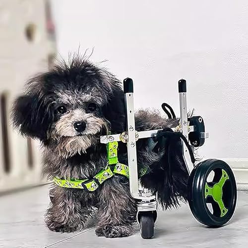 Silla de ruedas para perros de peluche pequeños para paseos activos y cómodos 2