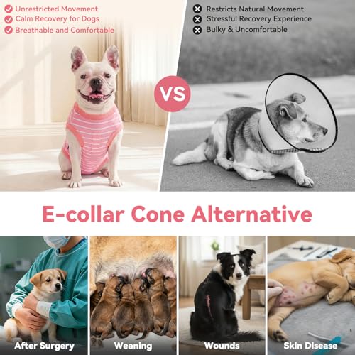 Image of cyeollo Dog Surgery Recovery Suit, Surgical Suit for Female Male Dogs, Soft Dog Onesie, Spay Neuter Body Suits, E-Collar & Cone Alternative, Anti-Licking Wound, Puppy Clothes for Small Dogs, Stripes M