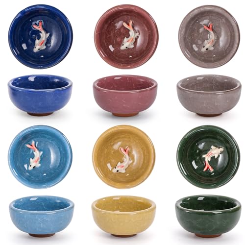 Foraineam 12 Pieces Ceramic Sake Tea Cups, Korean Soju Shot Glasses Sets, 1 oz / 30ml Tiny Sake Cup, Chinese Kungfu Style Teacups Drinkware Handcrafted Tea Accessories with Gift Box Packaging