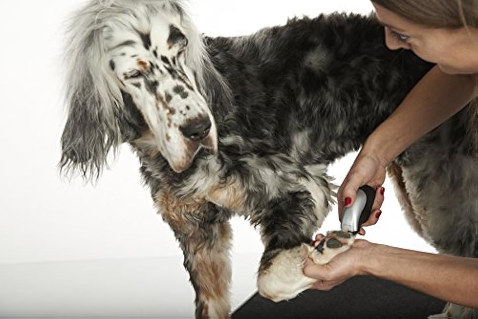 Andis 24865 Cordless Trim 'N Go 7-Piece Portable Trimmer - Animal/Dog Grooming, Silver-9UKvyc2N