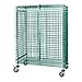 Quantum Storage Systems M1860-69SECP Security Unit, 60" W x 18" D x 69" H, Carbon Steel, Epoxy Coated, Green, NSF