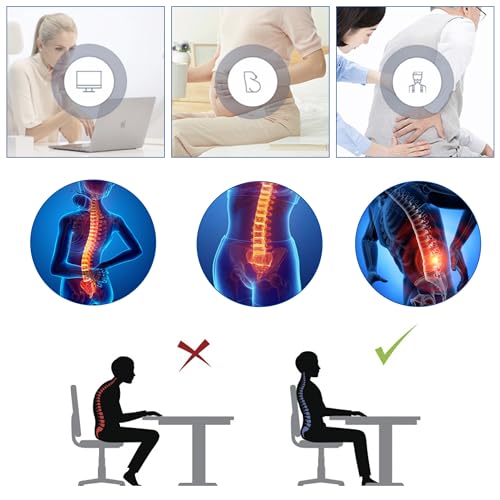 Mr. Pen- Lumbar Support Pillow, Memory Foam Lumbar Pillow, Car Lumbar Support, Office Chair Back Support, Back Cushion, Back Support Office Chair, Chair Pillow