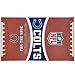 Great American Products Indianapolis Colts 16oz. Game Ball Pint Glass