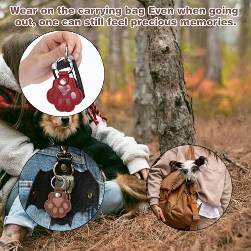 6 Stück Schlüsselanhänger für Tierhaare Tierhaar Erinnerung Personalisierte Aufbewahrungsbox Tierhaare Katze Pfote Keychain Schlüsselring Haustier Gedenk Kreatives Gedenkgeschenk für Tierliebhaber