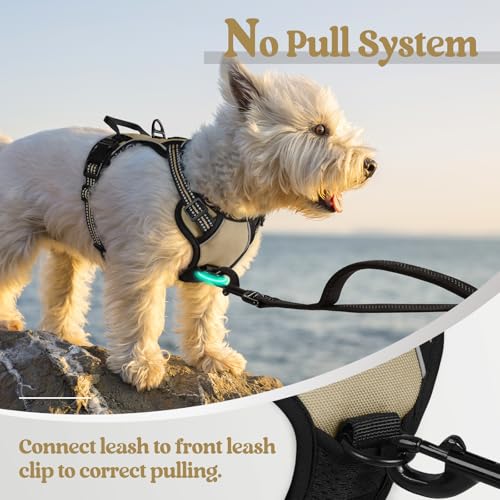 Image of rabbitgoo Dog Harness No Pull with 2 Leash Clips, Adjustable Soft Padded, Reflective Oxford No Choke Pet Vest with Easy Control Handle for Puppy, Beige, XS
