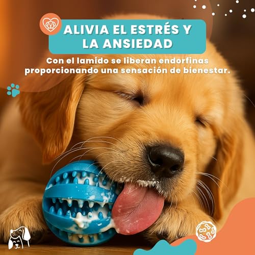 WOOF&MIAU® Pack 8 Juguetes para Perros | Juguetes para Perros pequeños | Juguetes para Cachorros | Juguetes interactivos para Perros pequeños| Peluches, Cuerdas, Mordedor y Pelota Rellenable - imagen 4