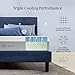 Zinus 8 Inch Ultra Cooling Gel Memory Foam Mattress, Queen, Cool-to-Touch Soft Knit Cover, Pressure Relieving, CertiPUR-US Certified, Mattress in A Box, All-New, Made in USA