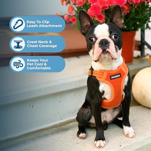 Image of Best Pet Supplies Voyager Adjustable Step-in Flex Breathable Mesh Dog Harness for Small Medium Large Dogs Leash Set (Orange), M