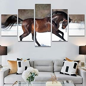 SIGNWIN 5 Panel Canvas Wall Art Modern Art...