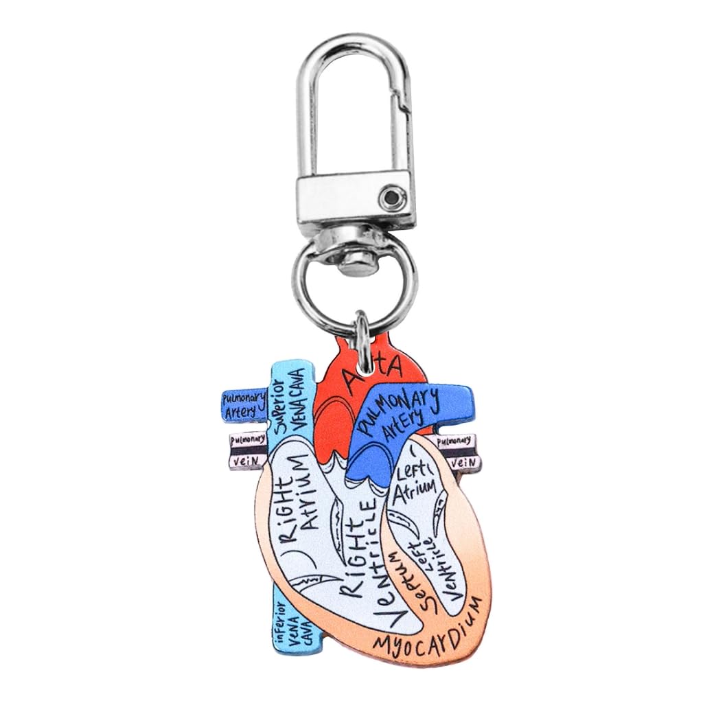 JAMNGHB Unique Heart Designs Keychain Realistic Heart Diagram Keychain Charm for Public Health and Anatomy Awareness
