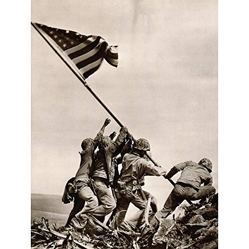Bumblebeaver War WWII IWO JIMA Stars Stripes Flag New Fine Art